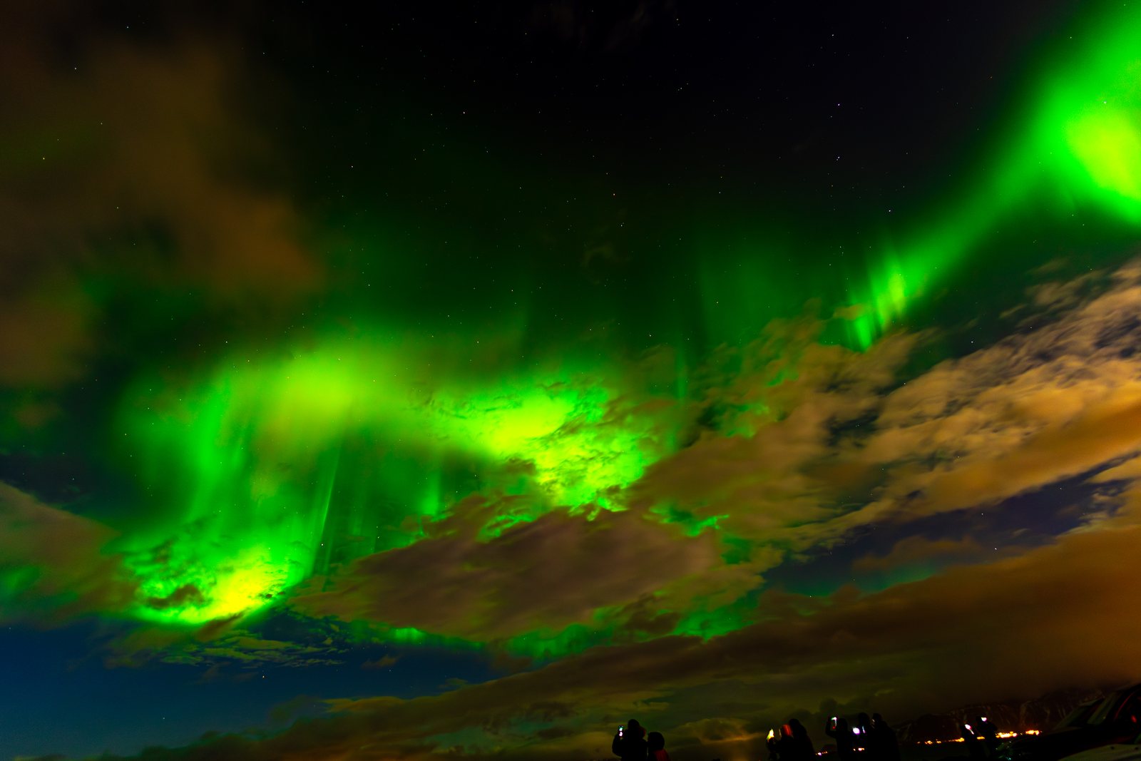 Travel & Night Sky